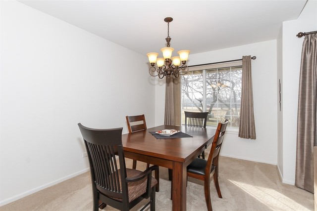 1729 Fairfax Cir E #4, Bartlett, IL 60103 photo 3