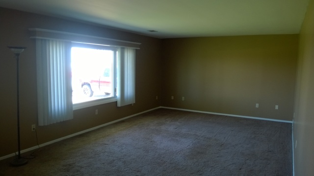 6335 Pine Bluff Rd, Morris, IL 60450 photo 7