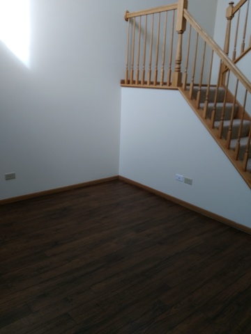 5821 Lake Pointe Dr, Plainfield, IL 60586 photo 4