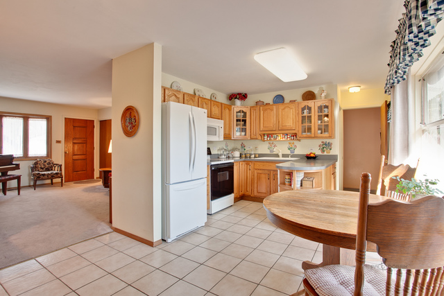 205 Princeton St, Hoffman Estates, IL 60169 photo 10