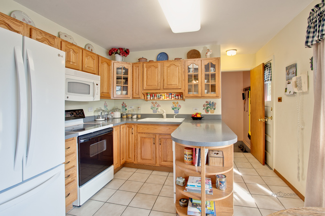 205 Princeton St, Hoffman Estates, IL 60169 photo 11