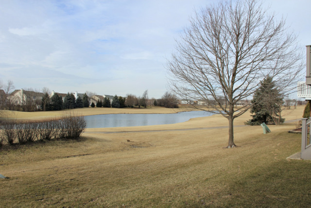 612 Golfers Ln, Bartlett, IL 60103 photo 24