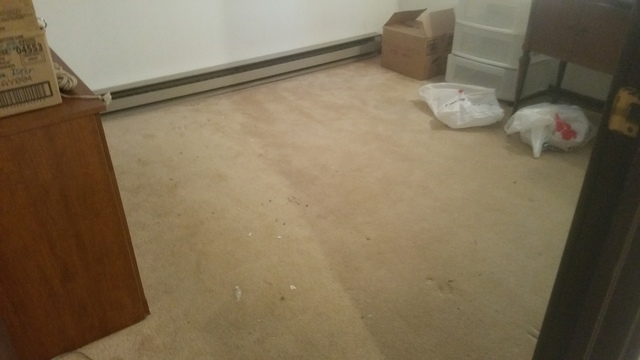 8001 Beloit Ave #1B, Bridgeview, IL 60455 photo 7