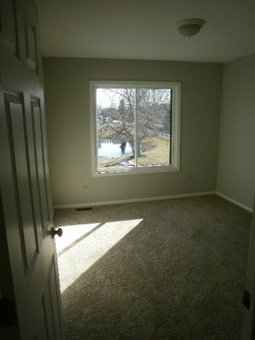 2303 Olde Mill Rd, Plainfield, IL 60586 photo 5