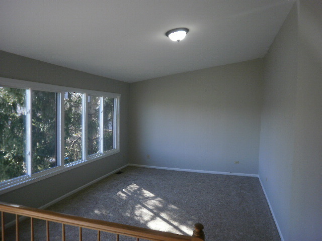 2303 Olde Mill Rd, Plainfield, IL 60586 photo 4
