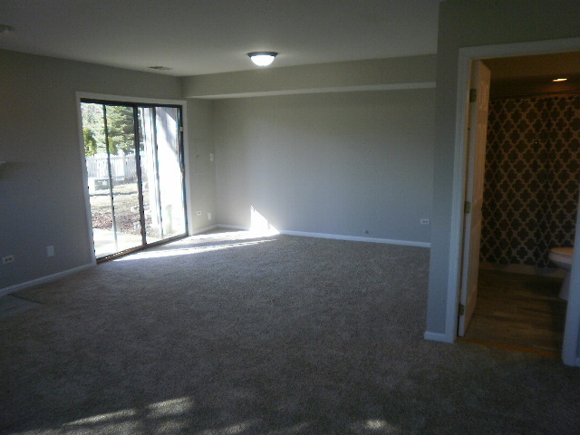 2303 Olde Mill Rd, Plainfield, IL 60586 photo 12