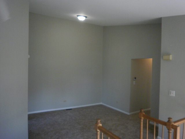 2303 Olde Mill Rd, Plainfield, IL 60586 photo 8