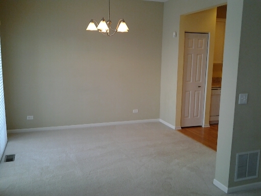 394 Bay Dr, Itasca, IL 60143 photo 5