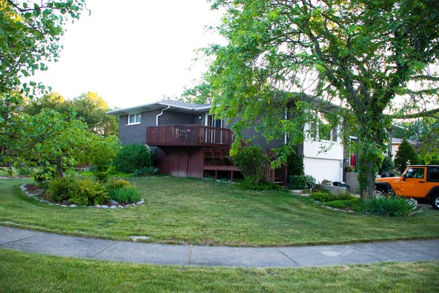 15433 Maple Ct, Oak Forest, IL 60452 photo 3