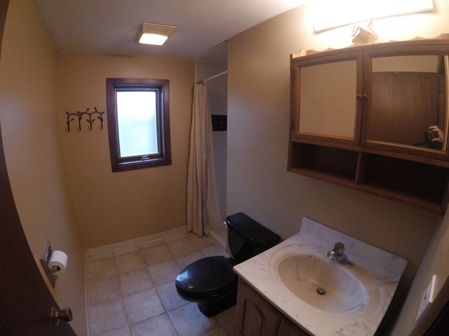 15433 Maple Ct, Oak Forest, IL 60452 photo 22