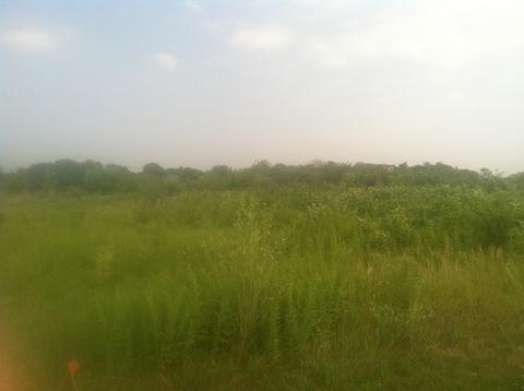 26222 W Il Rt 120 Rd, Volo, IL 60073 photo 5