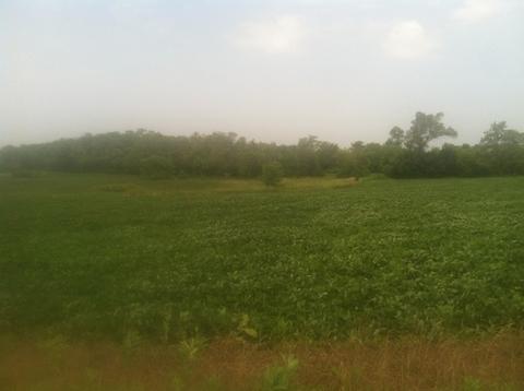 26222 W Il Rt 120 Rd, Volo, IL 60073 photo 2