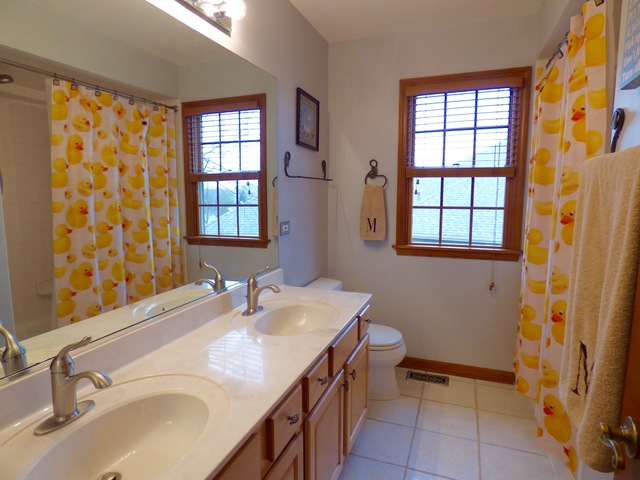 6 Bunker Hill Ct, Algonquin, IL 60102 photo 23