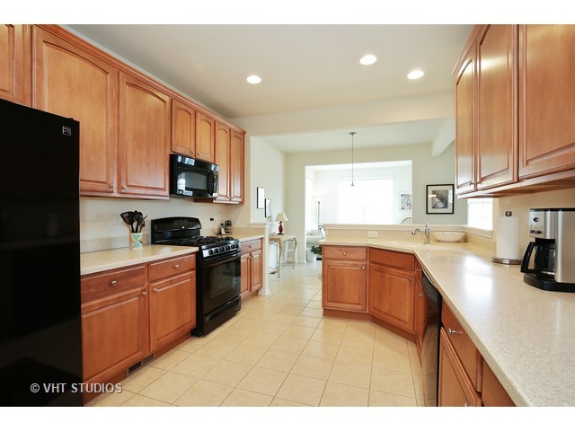 2874 Cascade Falls Cir, Elgin, IL 60124 photo 4