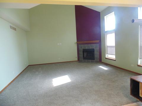 1208 Sandpiper Ct, Plainfield, IL 60586 photo 8