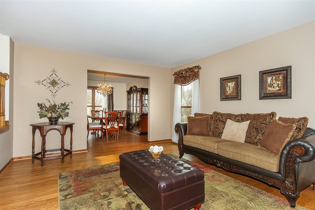 1345 Hunter Dr, Bartlett, IL 60103 photo 5