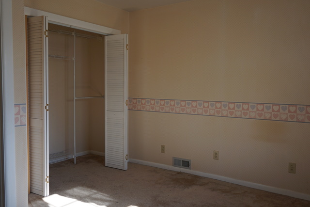 548 S Piatt St, Bement, IL 61813 photo 21