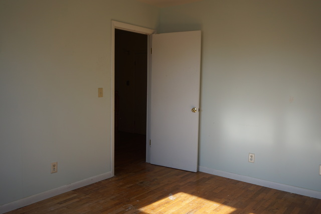 548 S Piatt St, Bement, IL 61813 photo 24