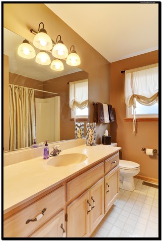 4705 Mallard Ln, Plainfield, IL 60586 photo 13