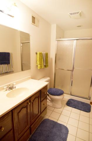 5325 Fox Path Ln, Hoffman Estates, IL 60192 photo 13