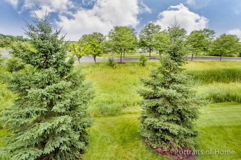 1761 Rizzi Ln, Bartlett, IL 60103 photo 23