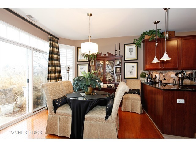 24231 Leski Ln, Plainfield, IL 60585 photo 5