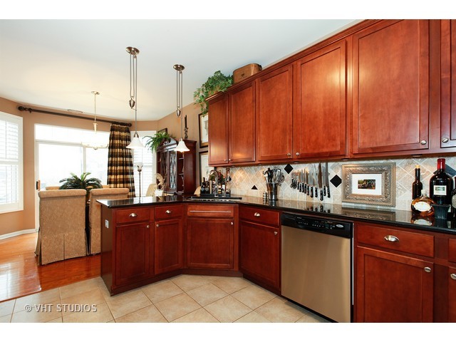 24231 Leski Ln, Plainfield, IL 60585 photo 4