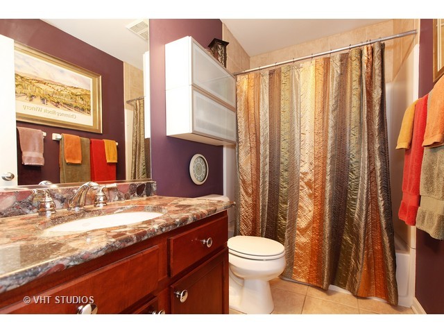 24231 Leski Ln, Plainfield, IL 60585 photo 10
