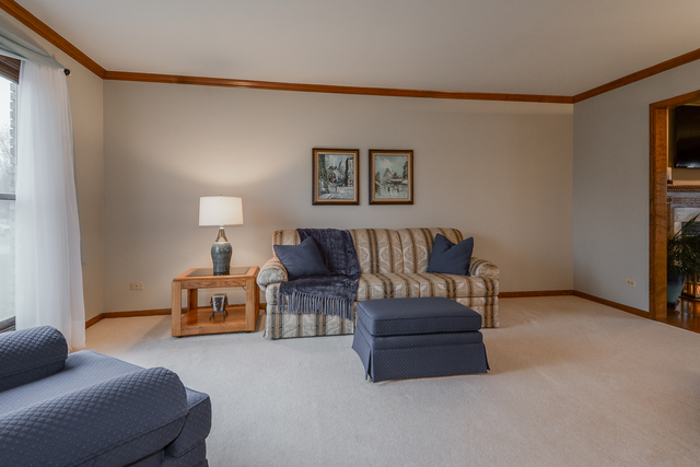 23650 W Cotswald Dr, Plainfield, IL 60585 photo 3