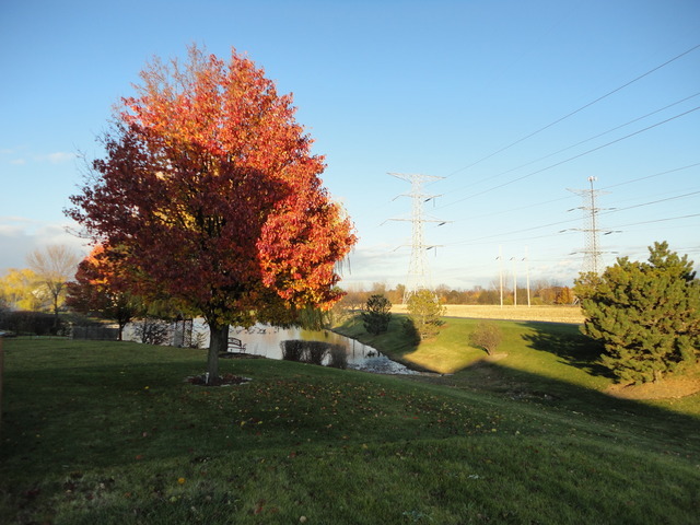 2506 Stonybrook Dr, Plainfield, IL 60586 photo 15