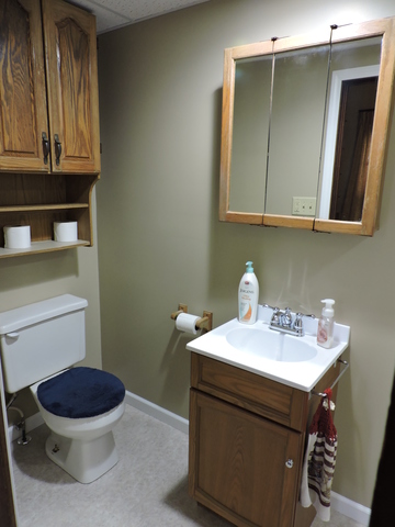 379 S Yates Ave, Kankakee, IL 60901 photo 15