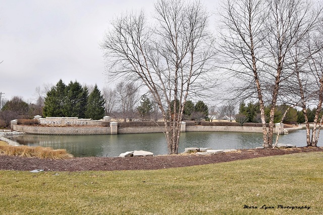 3720 Hoffman St, Plano, IL 60545 photo 22
