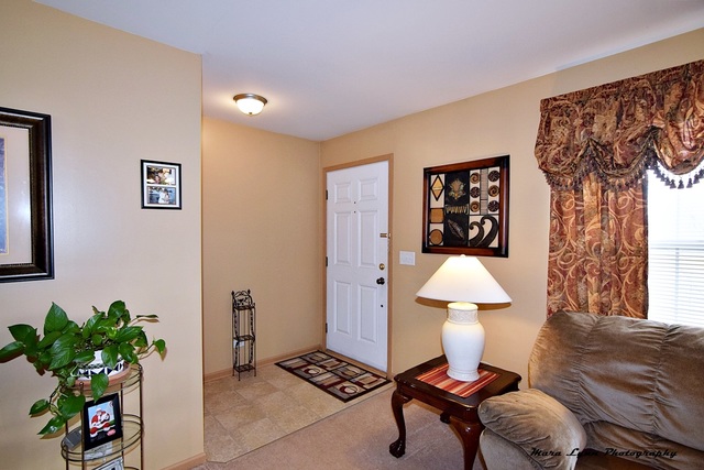 3720 Hoffman St, Plano, IL 60545 photo 2