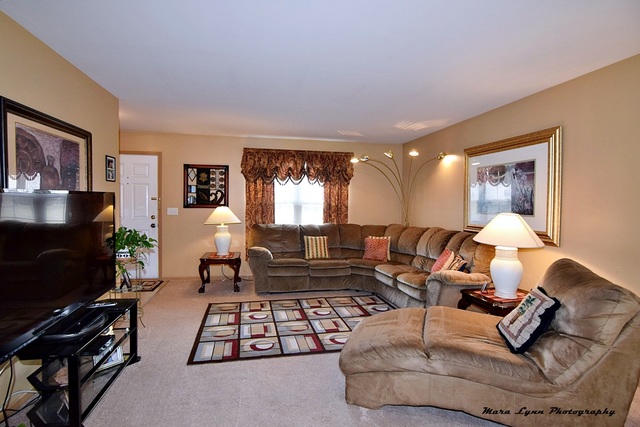 3720 Hoffman St, Plano, IL 60545 photo 4