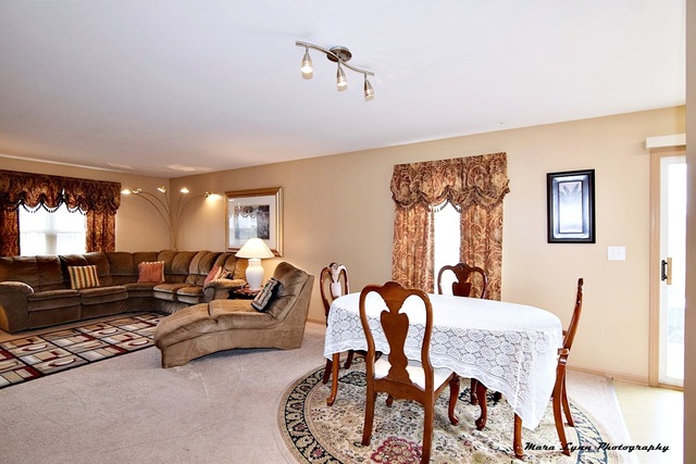 3720 Hoffman St, Plano, IL 60545 photo 9