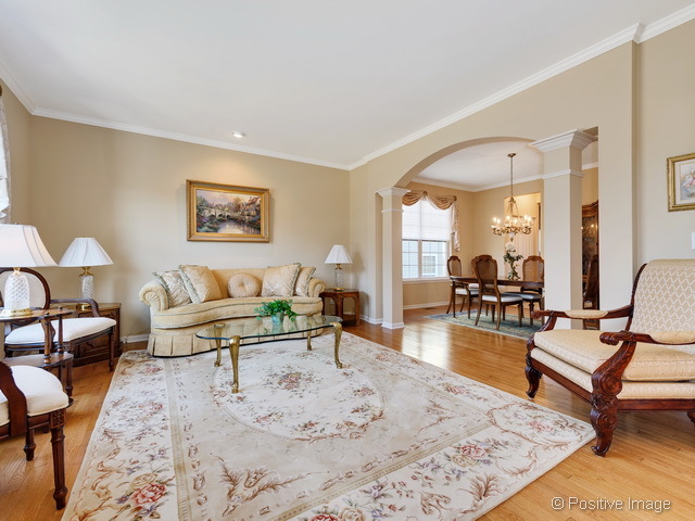 133 Regency Dr, Bartlett, IL 60103 photo 3