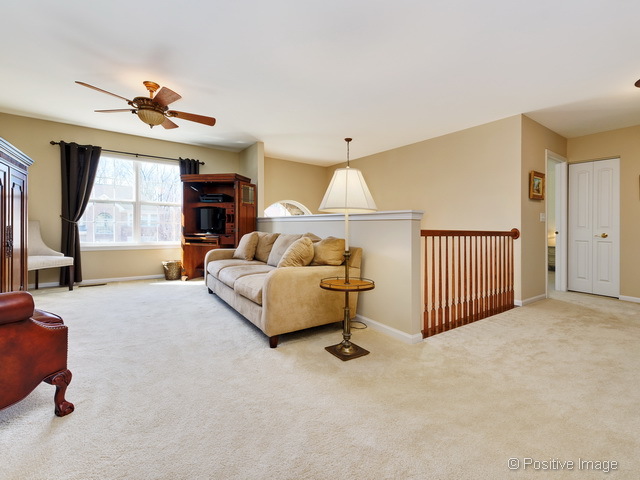 133 Regency Dr, Bartlett, IL 60103 photo 19