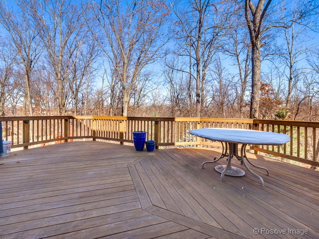 133 Regency Dr, Bartlett, IL 60103 photo 23