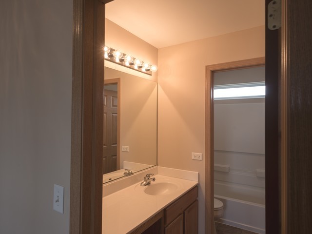 21300 Gray Hawk Dr, Matteson, IL 60443 photo 22