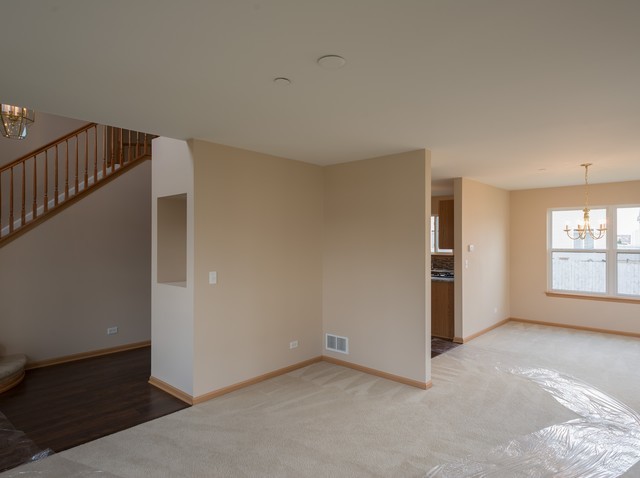 21300 Gray Hawk Dr, Matteson, IL 60443 photo 3