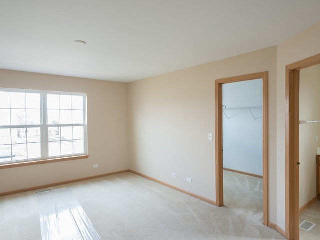 21300 Gray Hawk Dr, Matteson, IL 60443 photo 12
