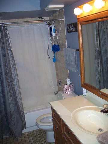 1436 Thacker St E #510, Des Plaines, IL 60016 photo 6
