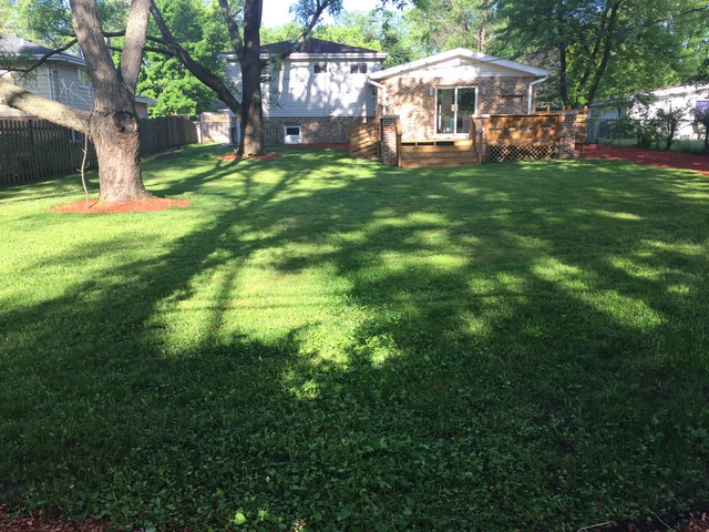 5 N265 Eagle Terrace Ave, Itasca, IL 60143 photo 21