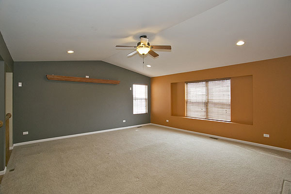 24308 Leski Ln, Plainfield, IL 60585 photo 13