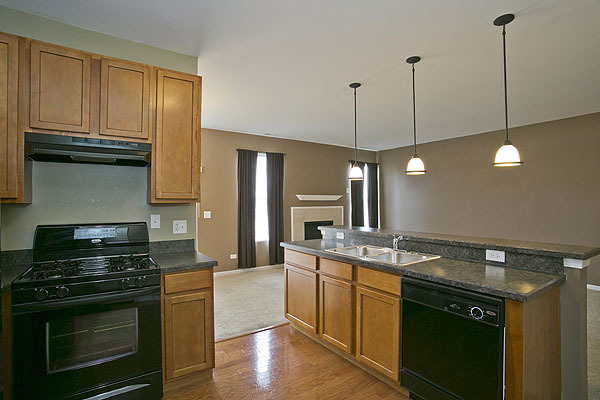 24308 Leski Ln, Plainfield, IL 60585 photo 6
