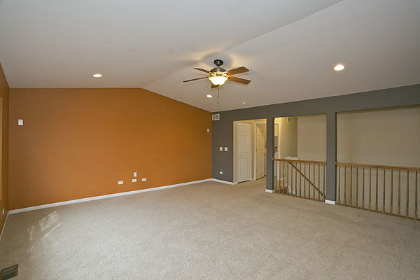 24308 Leski Ln, Plainfield, IL 60585 photo 15