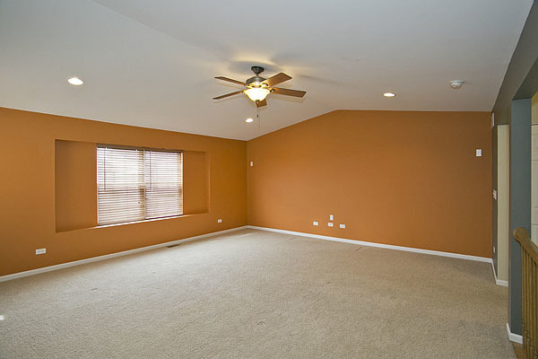 24308 Leski Ln, Plainfield, IL 60585 photo 16