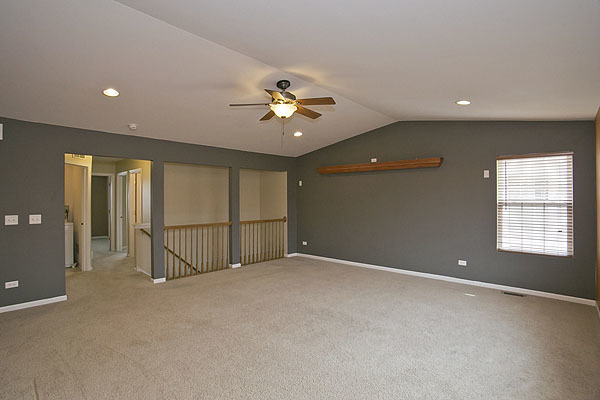 24308 Leski Ln, Plainfield, IL 60585 photo 14