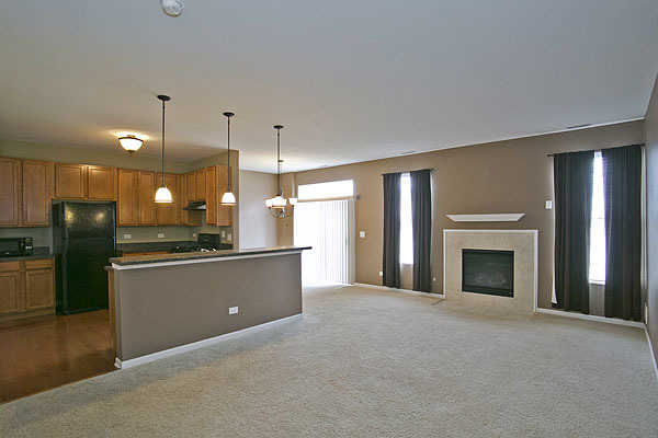 24308 Leski Ln, Plainfield, IL 60585 photo 2