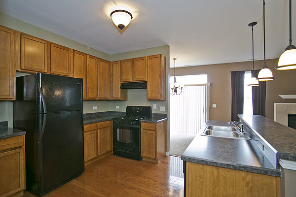 24308 Leski Ln, Plainfield, IL 60585 photo 5